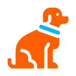 Pet Dander